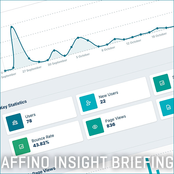 2022 Affino Insight Briefing